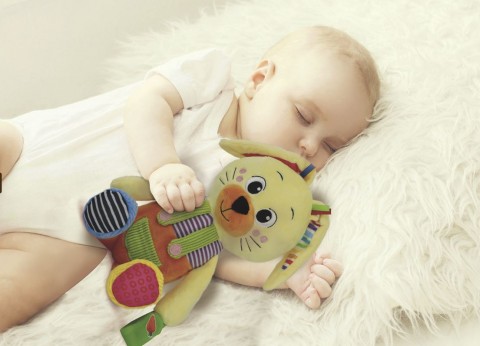 Mój Przyjaciel Królik | Baby For YouIVET.HU - A te online butikod.
