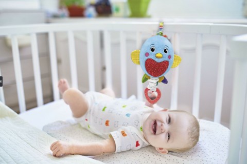 Zenélő Madárka | Baby For YouIVET.HU - A te online butikod.