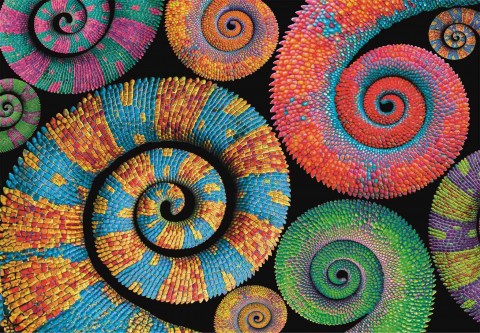 Clementoni puzzle 500 darabos - SpirálIVET.HU - A te online butikod.