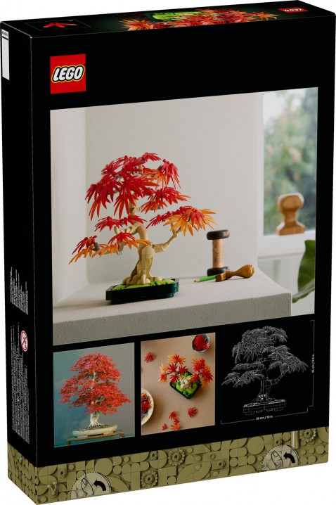 10348 – Bonsai Piros japán juharIVET.HU - A te online butikod.