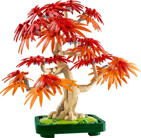 10348 – Bonsai Piros japán juharIVET.HU - A te online butikod.