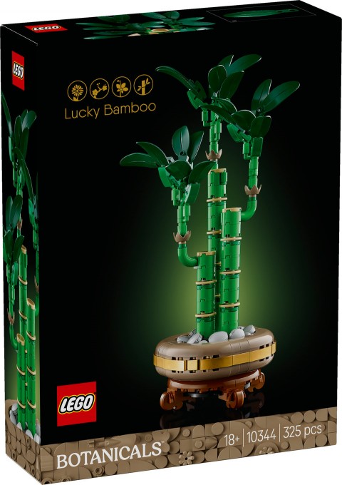 10344 | Dracena SanderaIVET.HU - A te online butikod.