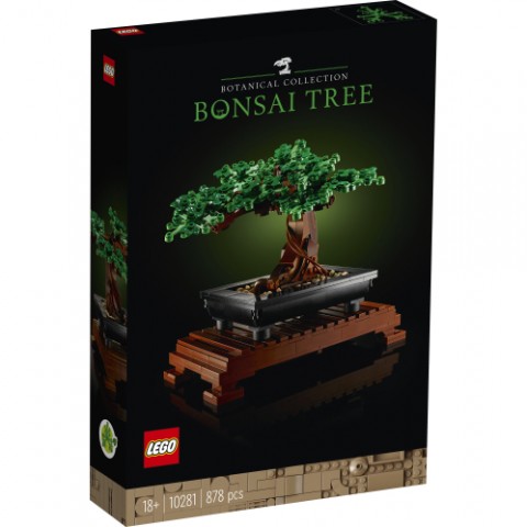 10281 | Bonsai fácskaIVET.HU - A te online butikod.