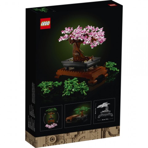 10281 | Bonsai fácskaIVET.HU - A te online butikod.
