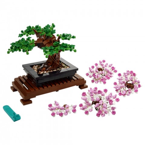 10281 | Bonsai fácskaIVET.HU - A te online butikod.