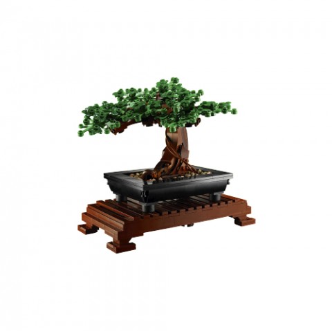 10281 | Bonsai fácskaIVET.HU - A te online butikod.