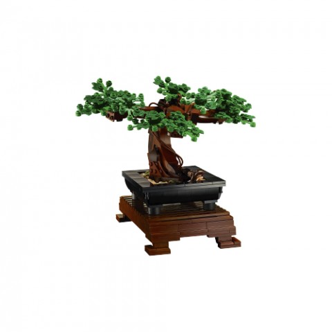 10281 | Bonsai fácskaIVET.HU - A te online butikod.