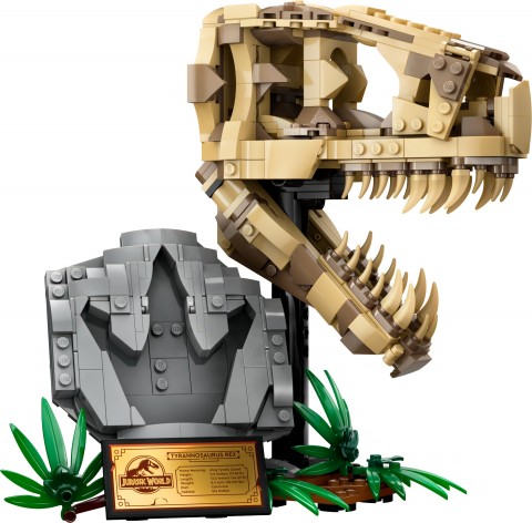 76964 | Dinoszaurusz csontvázak - T. rex koponyaIVET.HU - A te online butikod.