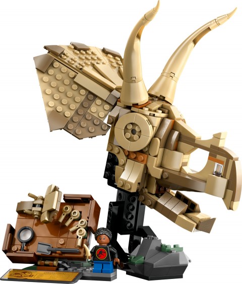 76969 | Dinoszaurusz csontvázak: triceratops koponyaIVET.HU - A te online butikod.