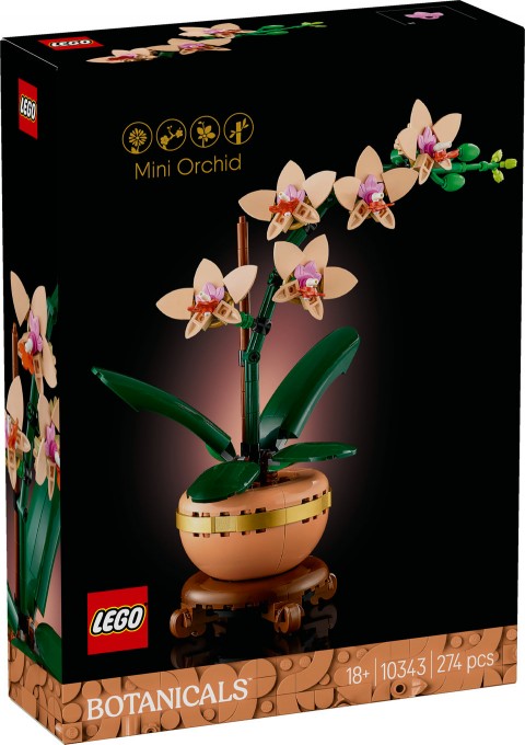 10343 | Kis OrchideaIVET.HU - A te online butikod.