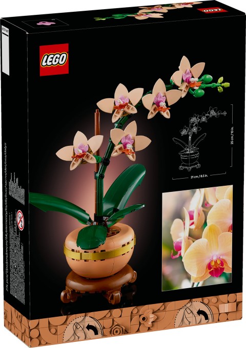 10343 | Kis OrchideaIVET.HU - A te online butikod.